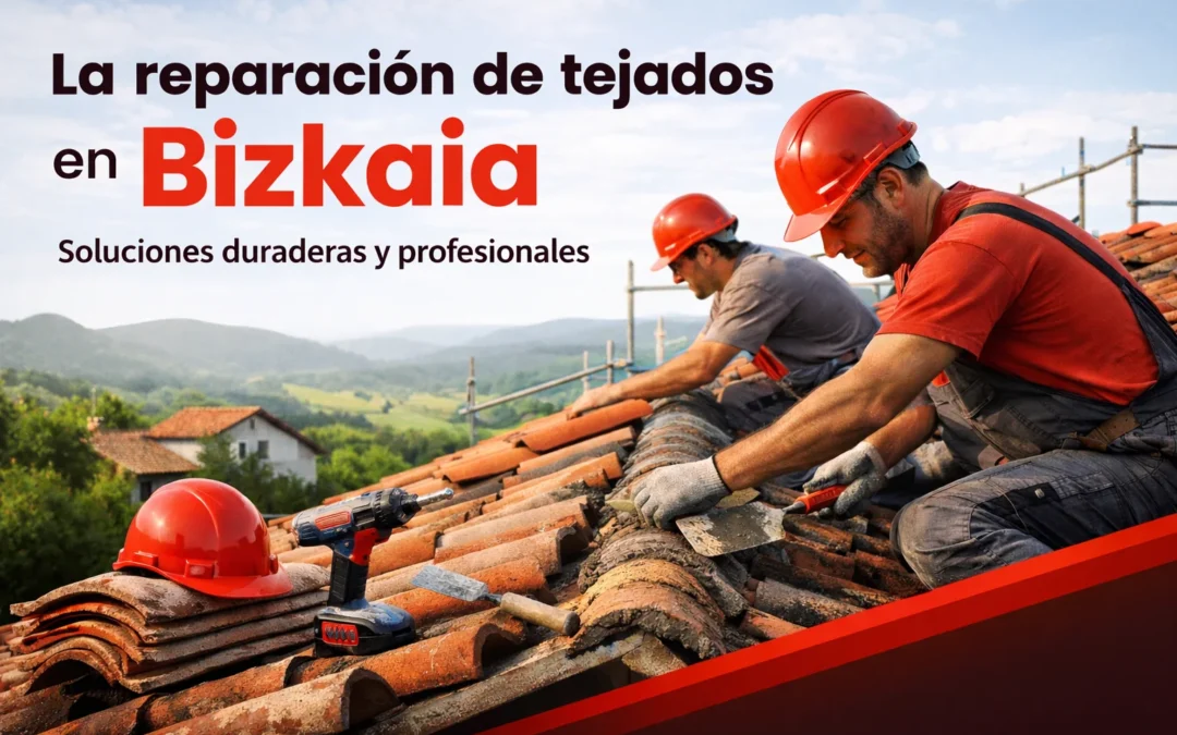 reparación de tejados Bizkaia