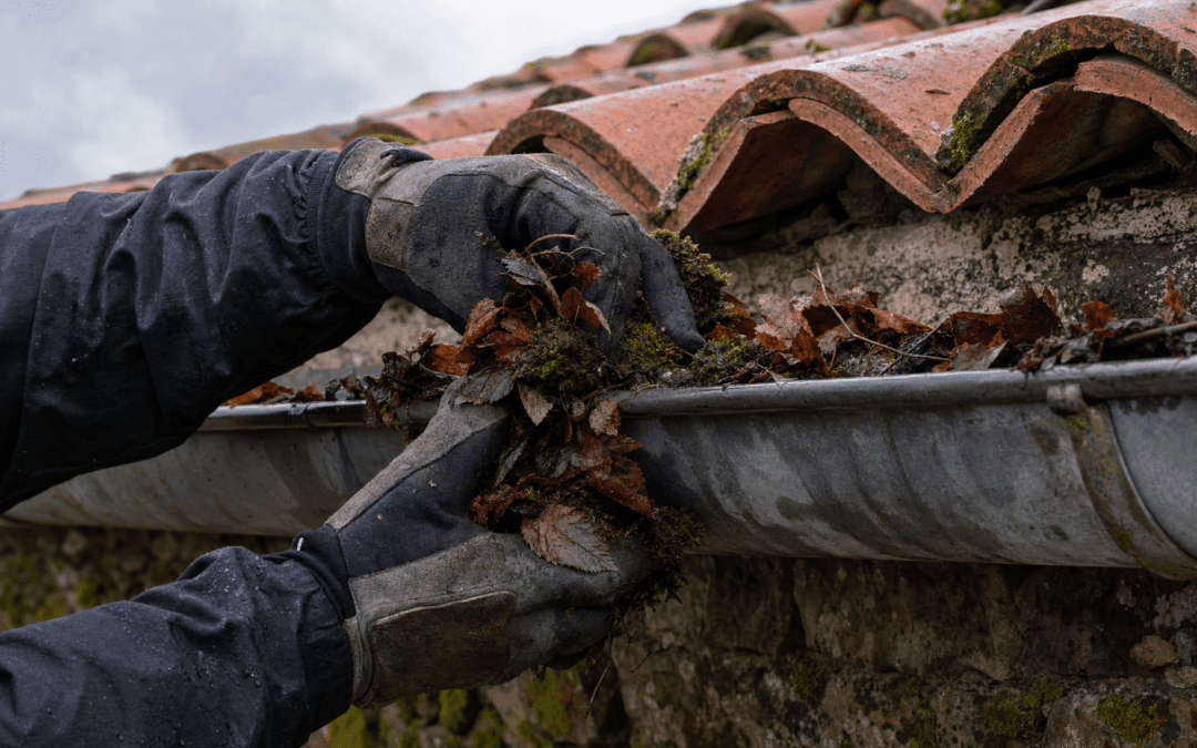 Limpieza de canalón de tejado en caserío de Bizkaia con guantes de trabajo